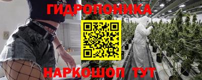 молекула духа Ливны