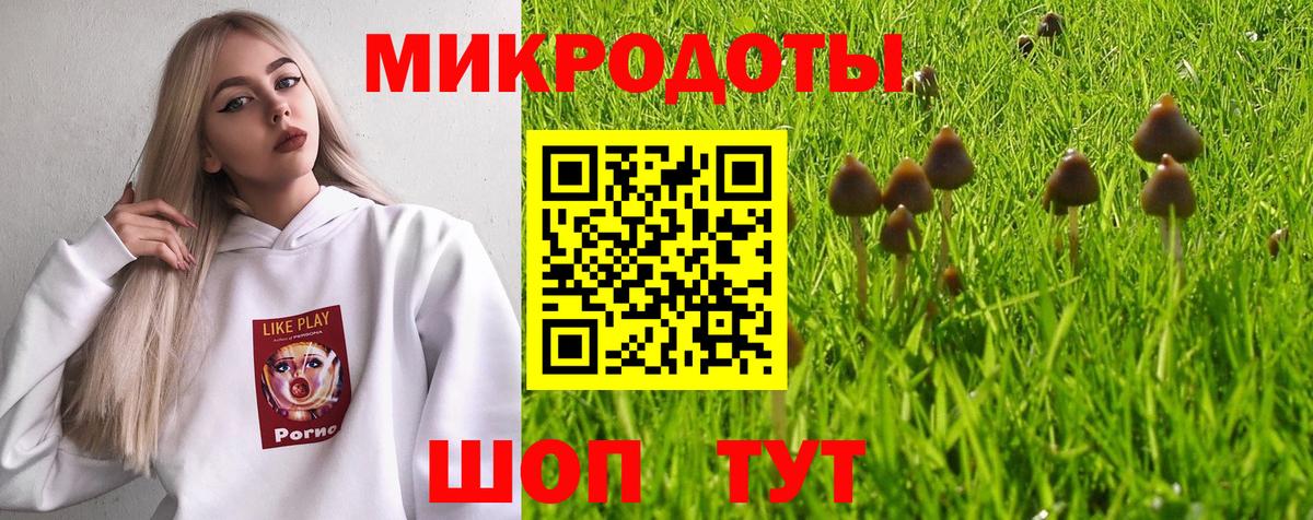 Галлюциногенные грибы MAGIC MUSHROOMS Звенигород